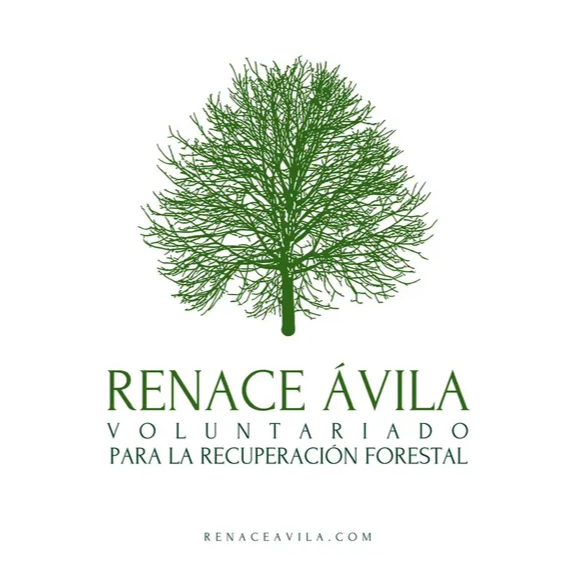 RENACE Ávila